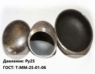 Заглушка стальная Ру25 ГОСТ: Т-ММ-25-01-06